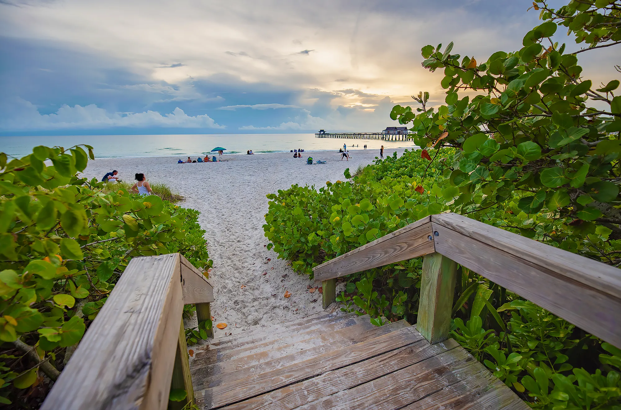 Wooden beach access steps down through sea grape to the sand near Aqualane Shores, with the Naples Pier on the horizon, Naples, Florida