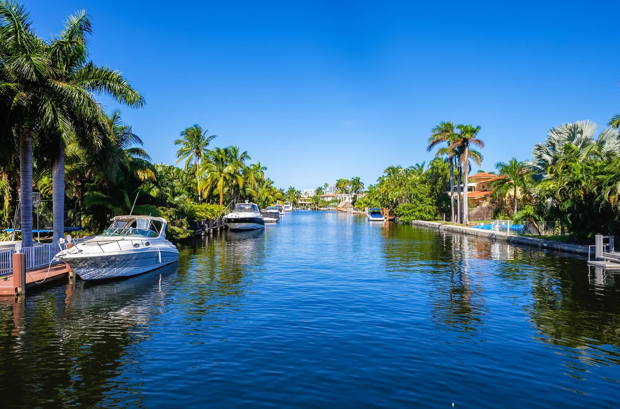Palm-lined canal with boats at private docks, the kind of Naples waterway that reaches the Gulf under bridges